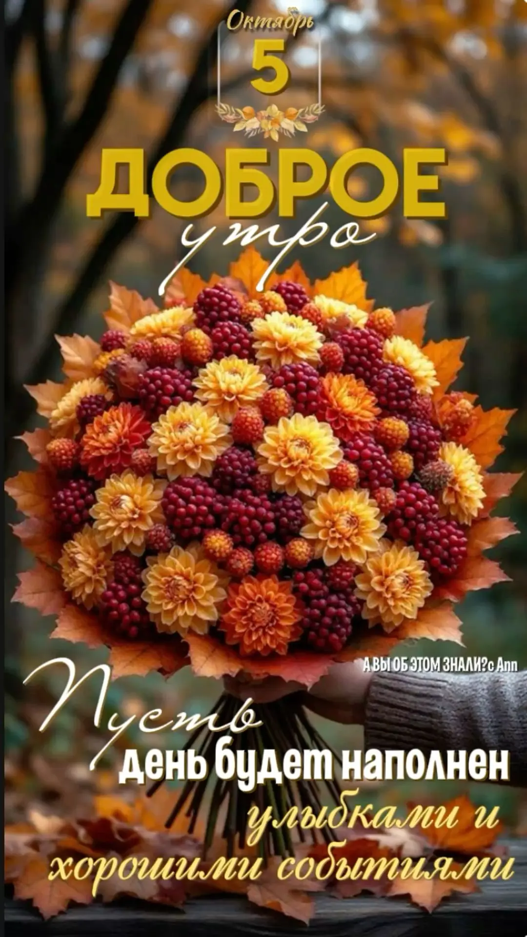 Доброе утро и доброго дня, Великая Россия 🇷🇺❤️