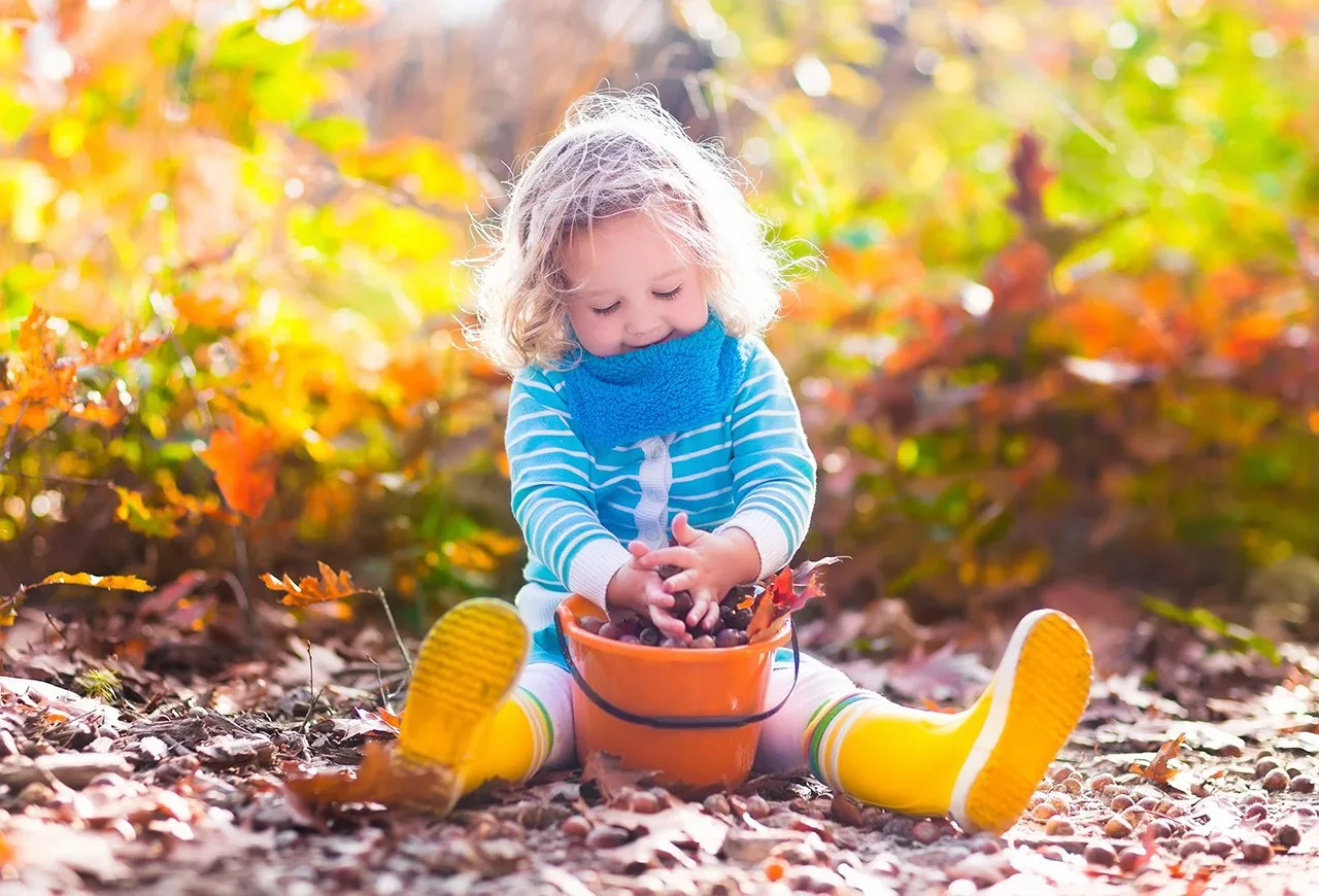 Уважаемые родители!🍂