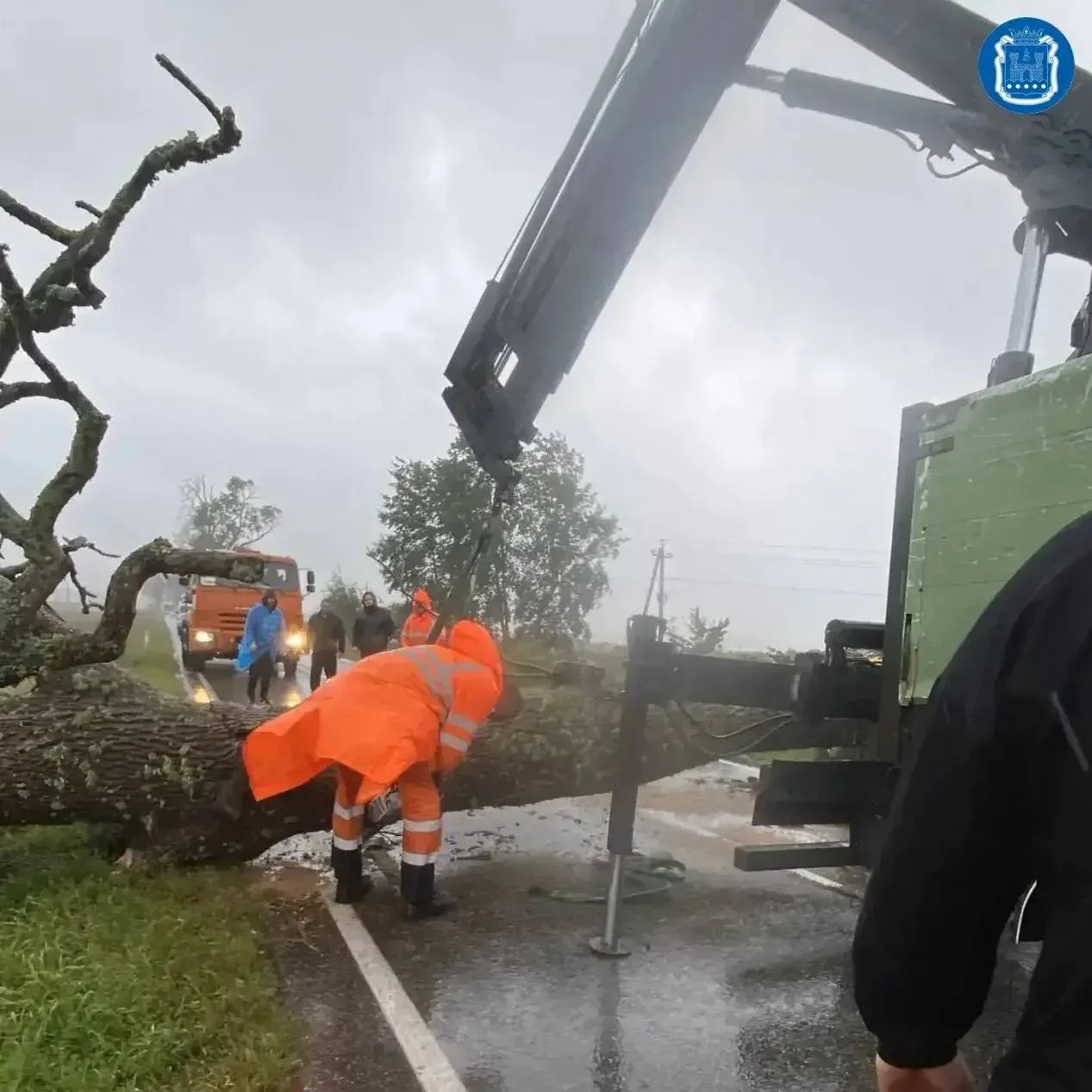 ⚡ПОСЛЕ ШТОРМА В КАЛИНИНГРАДСКОЙ ОБЛАСТИ УБРАЛИ 563 ДЕРЕВА 🌲🌲🌲