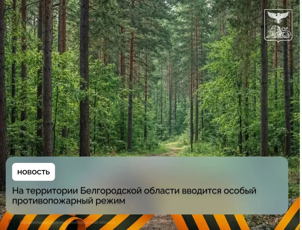 На территории Белгородской области вводится особый противопожарный режим
Он продлится с 6 мая по 26 