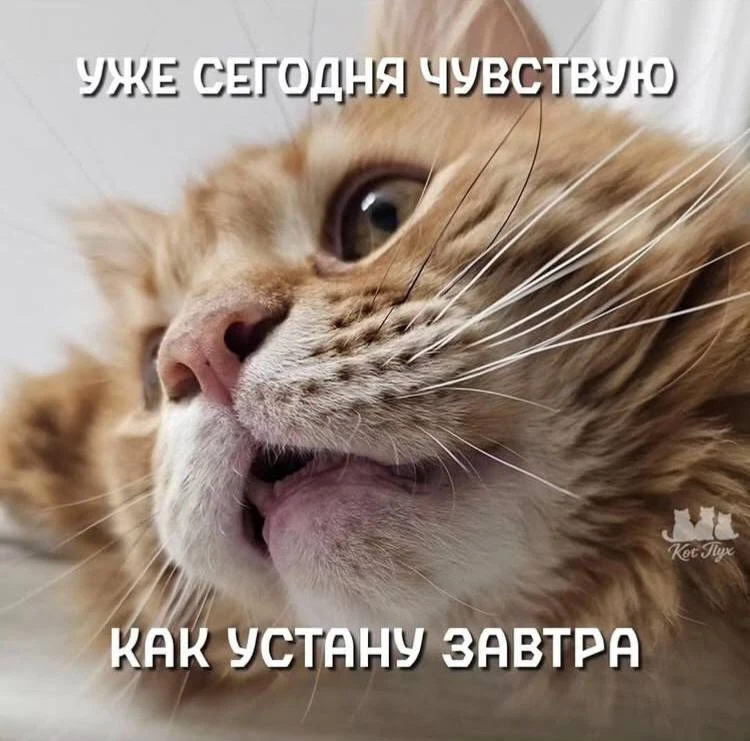 Наш канал ЛУЧИК РАДОСТИ ✨