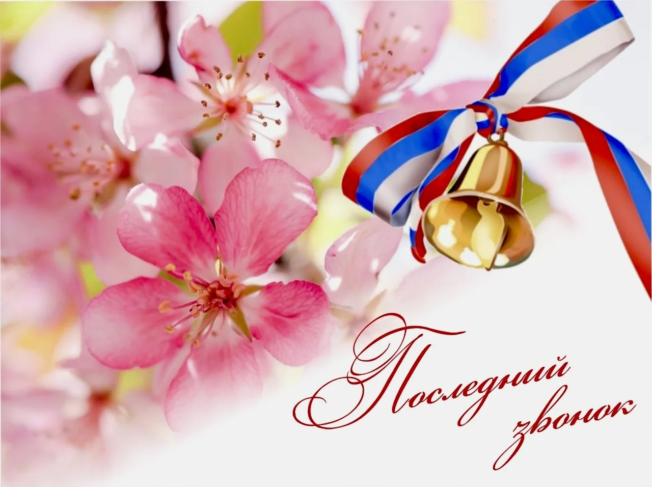 Дорогие выпускники! Уважаемые учителя и родители!