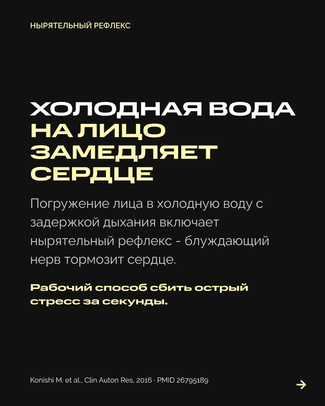 Изображение 3 к публикации «Александр Дзидзария»
