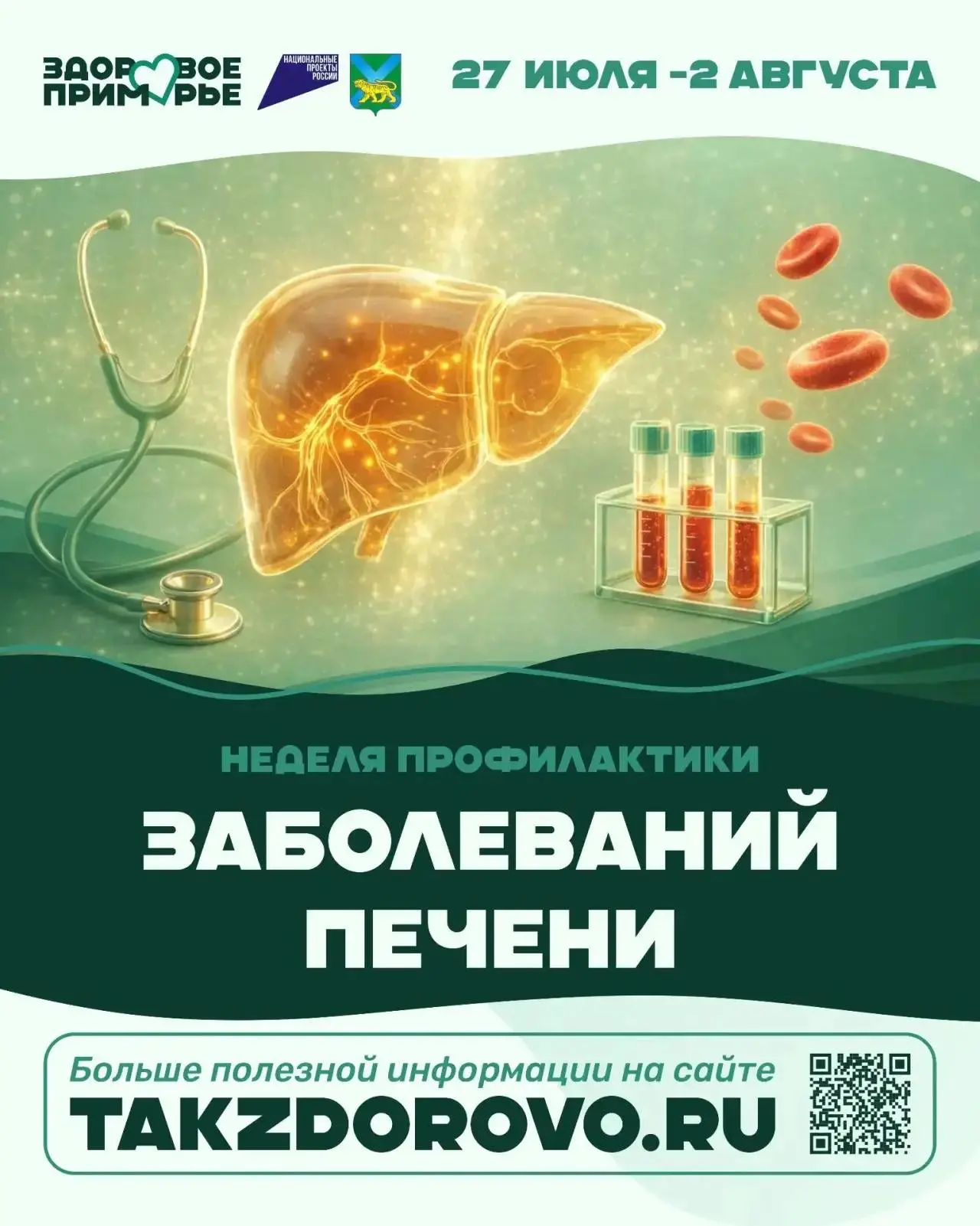 Печень — один из самых выносливых органов, но именно её «молчаливость» часто приводит к поздней диаг