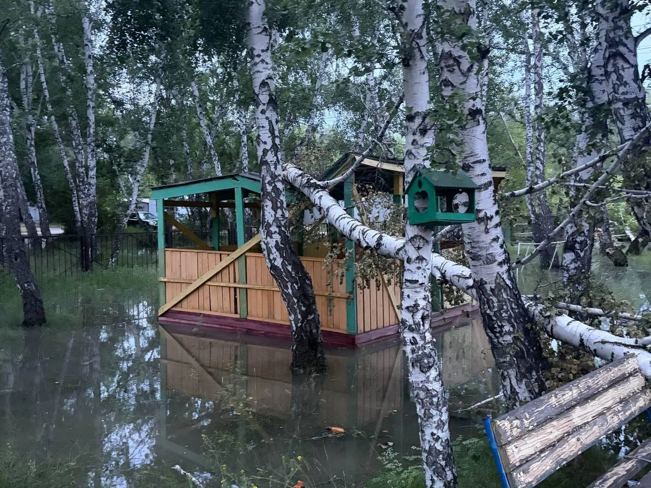 ⛈ Последствия шторма: территорию омской школы № 99 затопило и завалило деревьями
