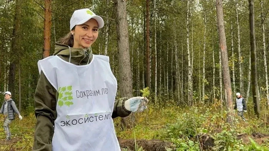 Сысертский лес станет главным центром экологической акции на Урале