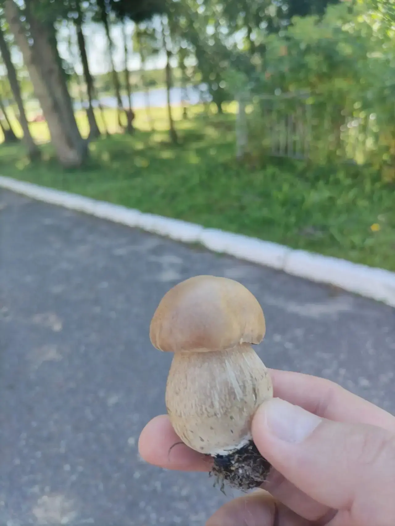 Доброе утро, друзья!