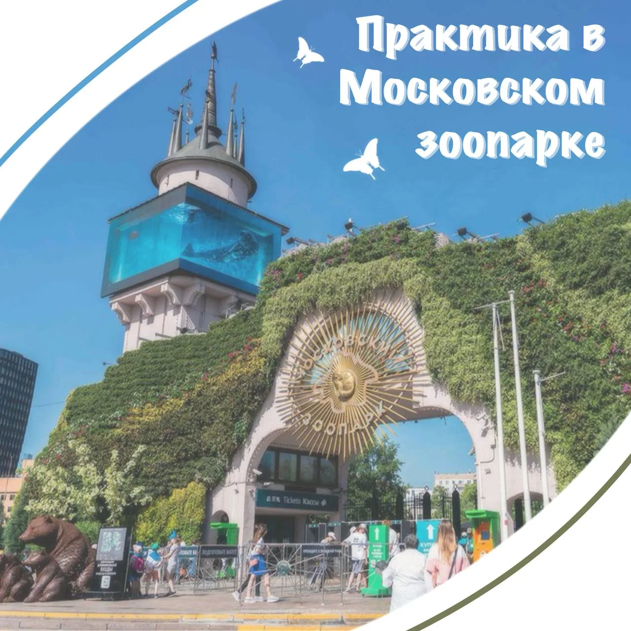Летняя анималистическая практика в Московском Зоопарке🦚
🐘Уже в третий раз учебно-творческая практи