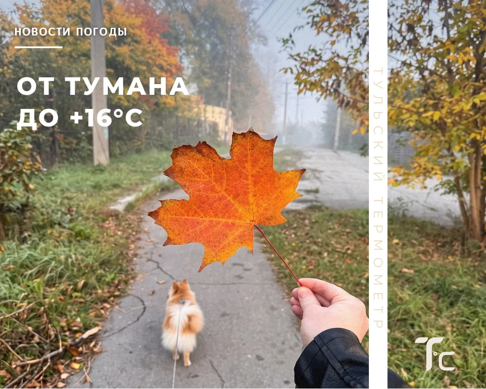🌡️ Вторник решил не жестить с туманом​