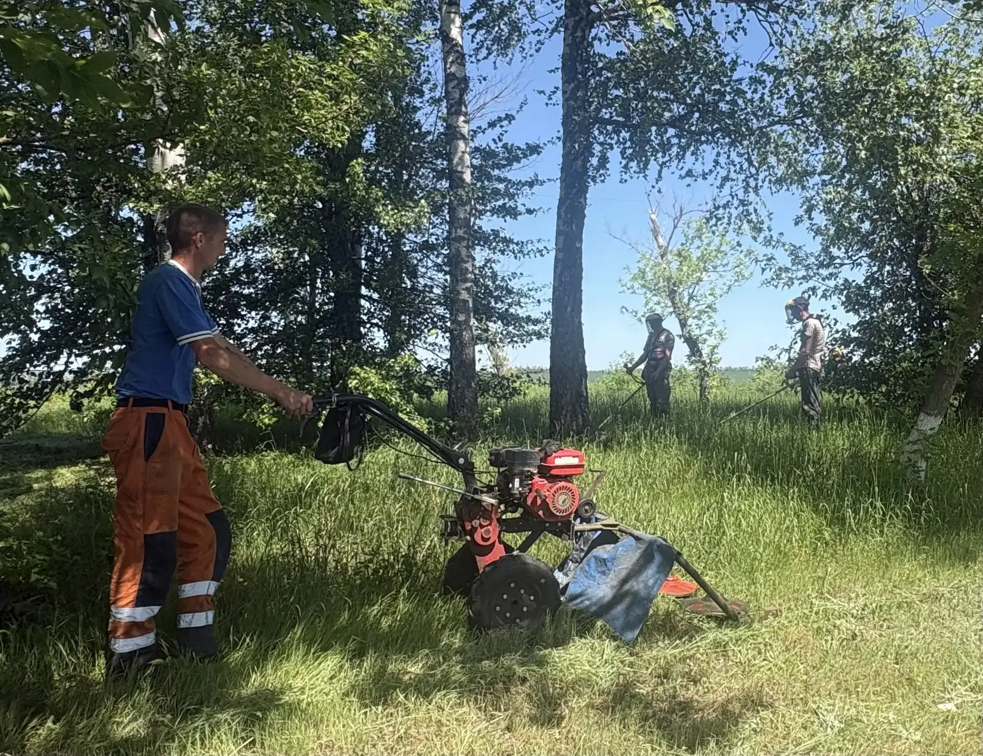 Покос сорной растительности лесополосы, вдоль автодороги Валуйки — Ровеньки