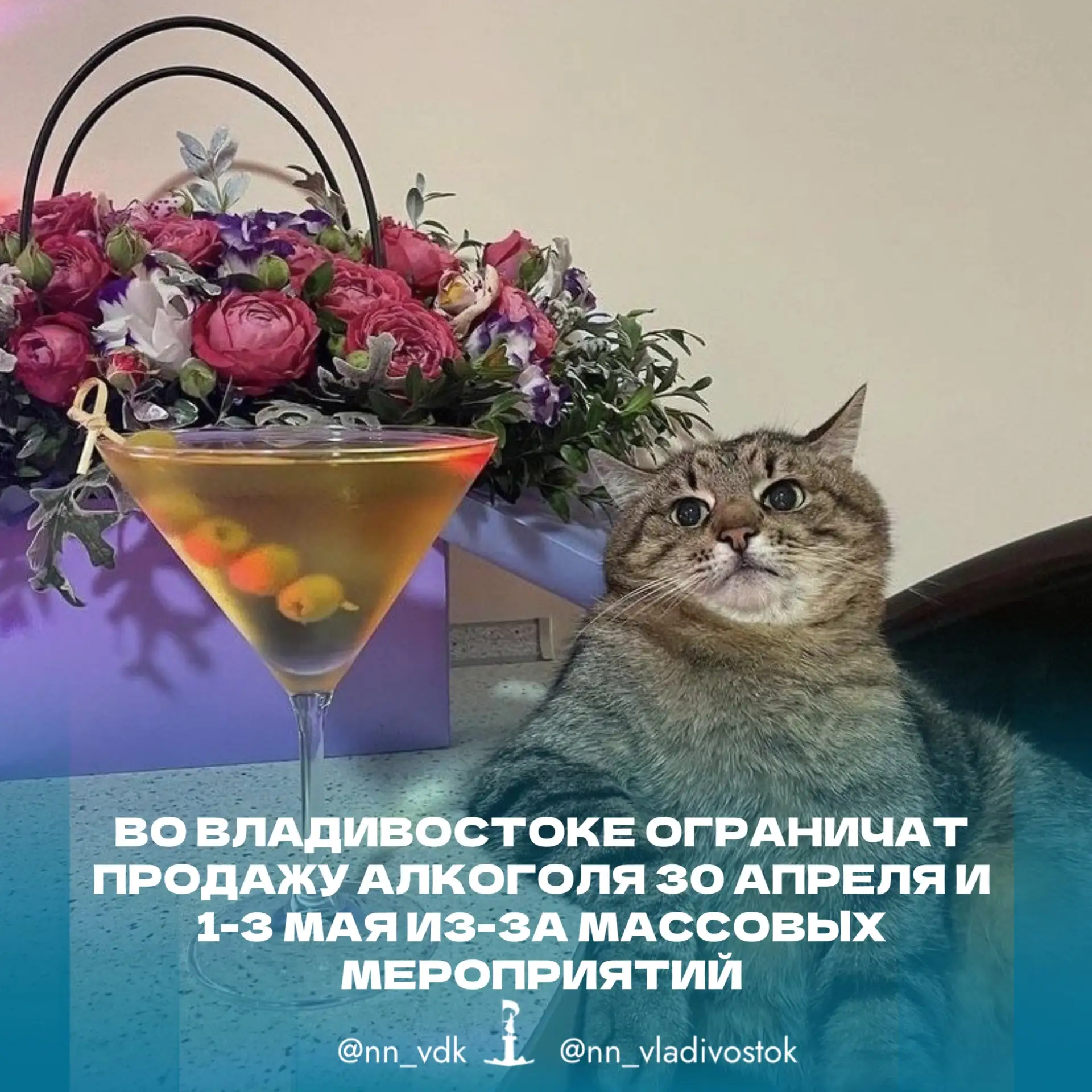 🥂❌ Во Владивостоке ограничат продажу алкоголя 30 апреля и 1-3 мая из‑за массовых мероприятий.  Из‑за