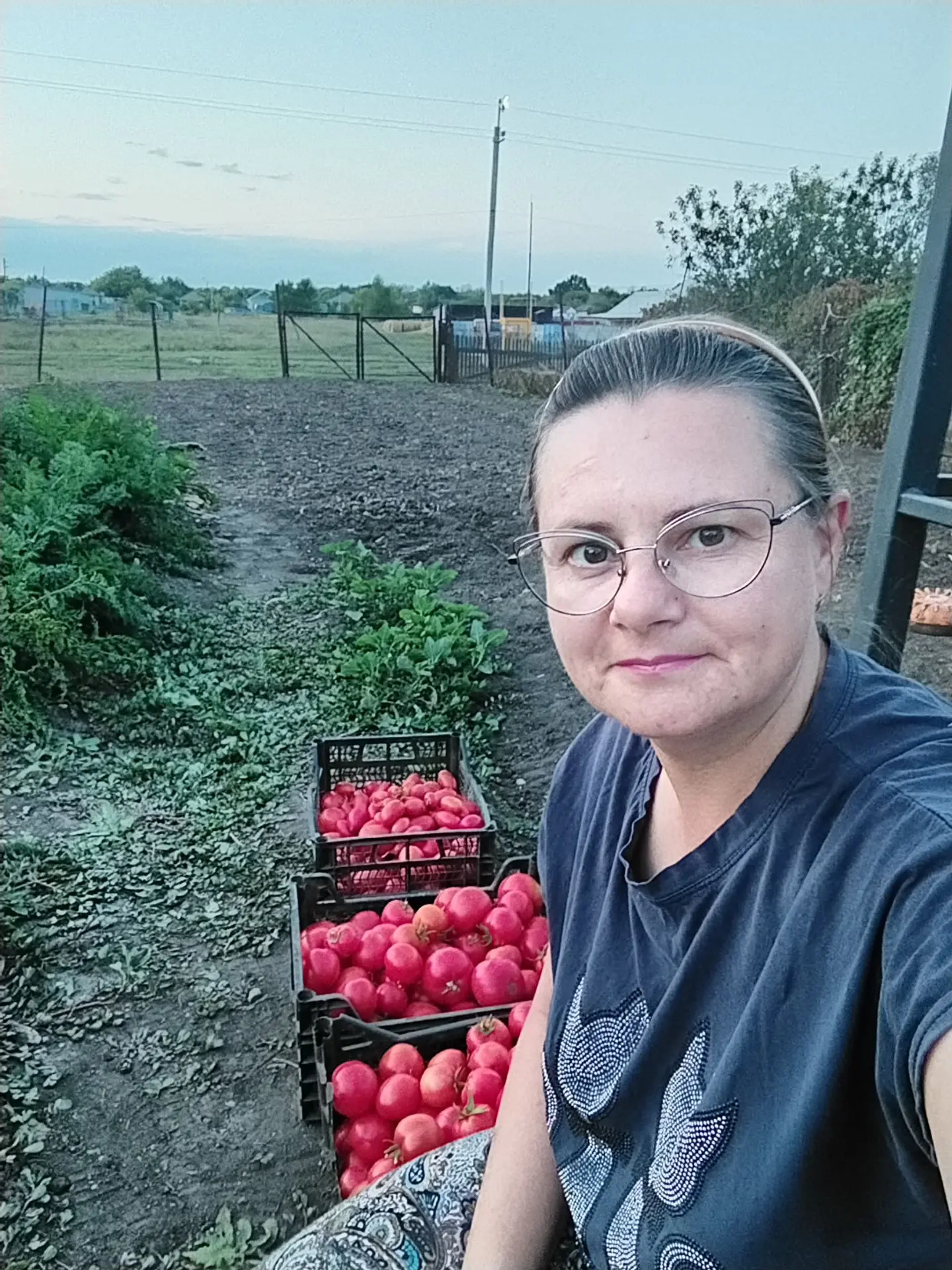 Оборвала первую партию помидор🍅