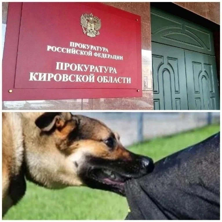 🐶👮 В Немском районе прокуратура через суд взыскала денежную компенсацию в пользу 12-летнего ребенк