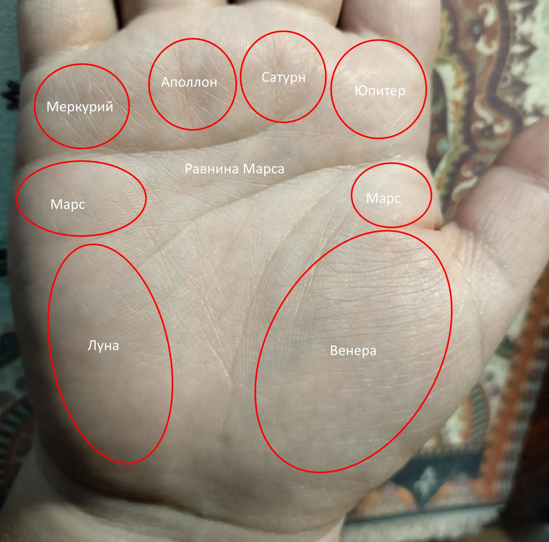 Холмы по Дебарролю

🖐️ У корня каждого пальца, в ладони, находится бугорок.
Каждый бугорок имеет сн