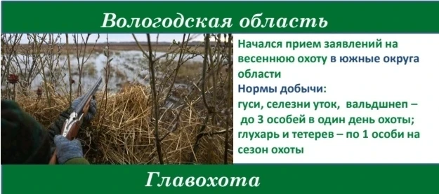 Сегодня стартует прием заявлений на выдачу разрешений на добычу пернатой дичи в весенни...