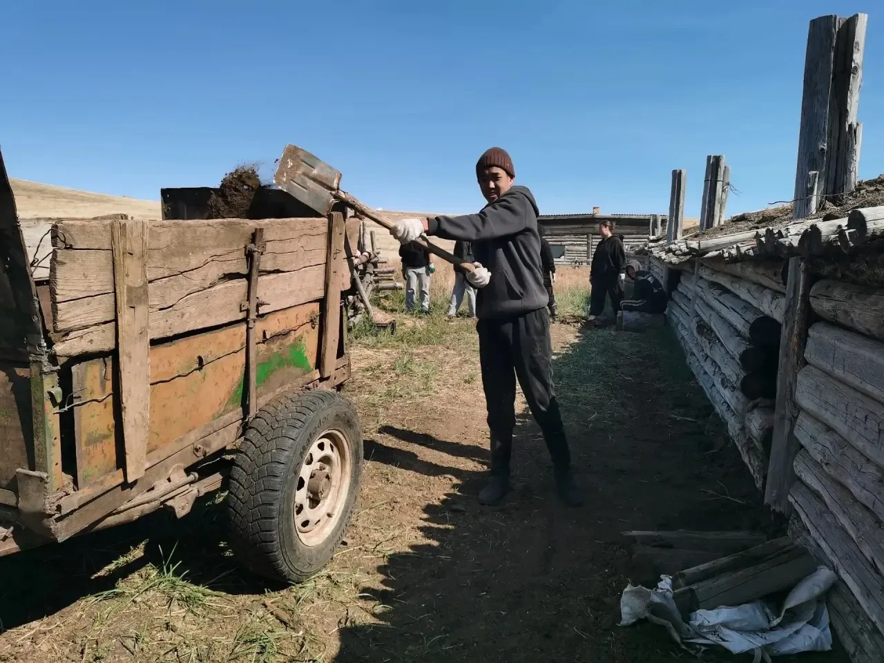 🐑 В Эрзинском кожууне продолжается добрая традиция — помощь подрастающего поколения се...