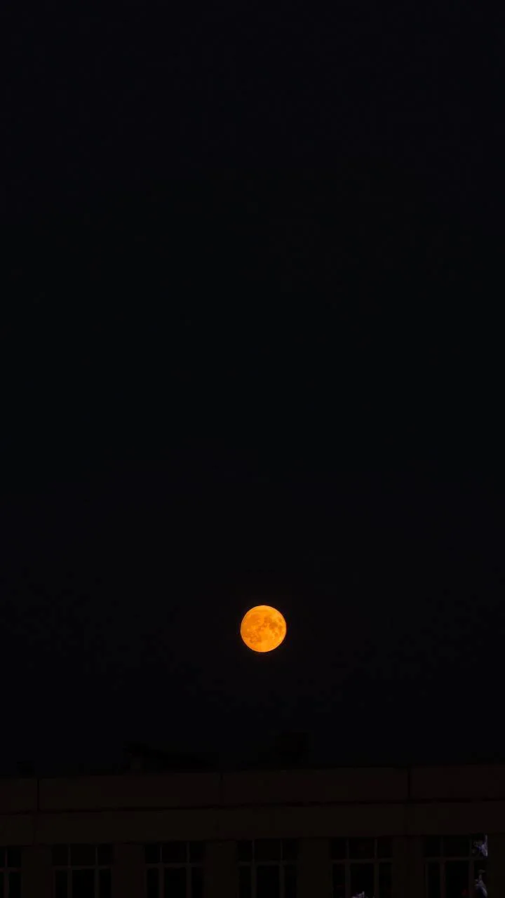 Минувшей ночью над Челябинском взошла «оленья Луна» 🌕

Спутник Земли выглядит крупнее и окрасился в