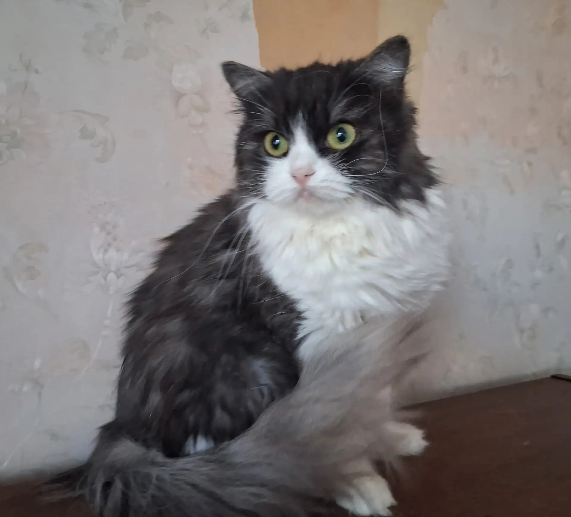 Мусенька