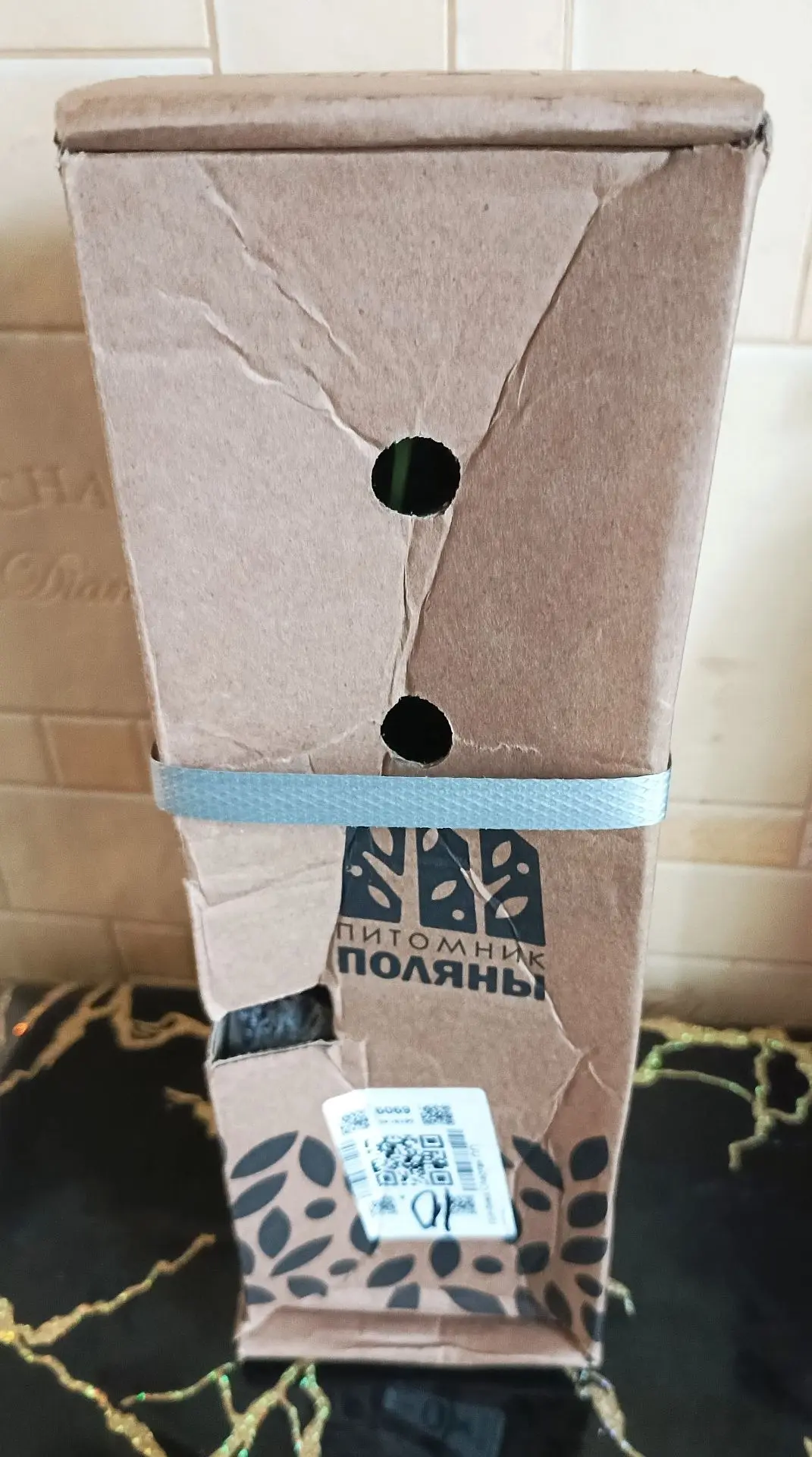 Доброго дня!