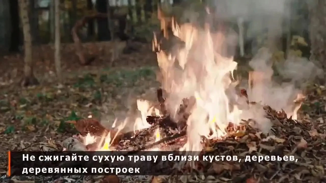 🔥В Липецкой области действует пожароопасный сезон

Запрещено разводить костры и сжигать траву. Если