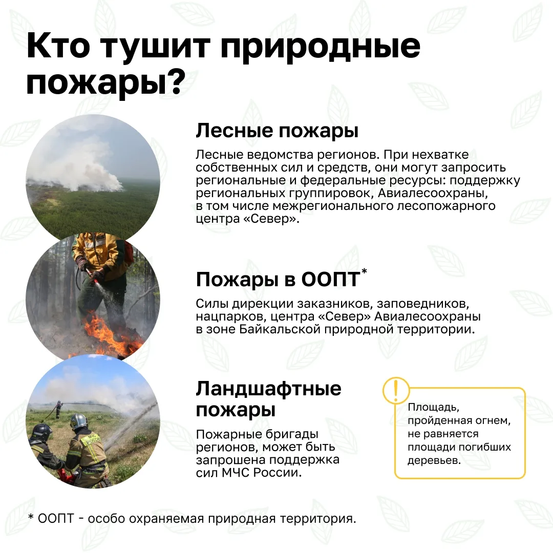 Природные пожары 🌲🌳🔥  Берегите природу - соблюдайте правила пожарной безопасности!!! 💯