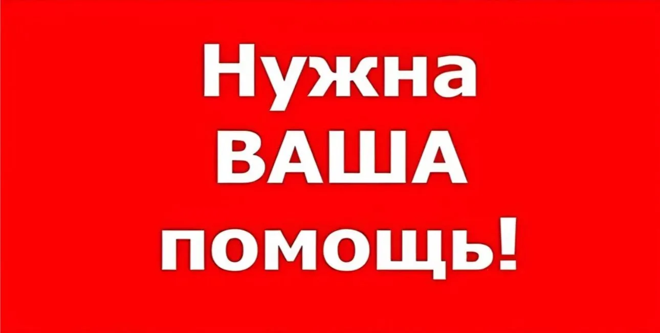 🙏Дорогие друзья! Просим вашей поддержки в голосовании за наши проекты:                             