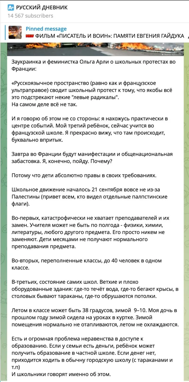 Юных французских погромщиков-мигрантов среди россиян оправдывают две категории мультику...
