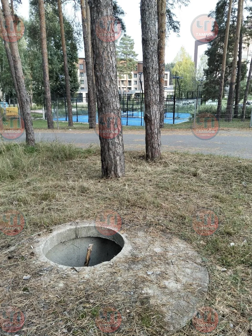 От подписчика: