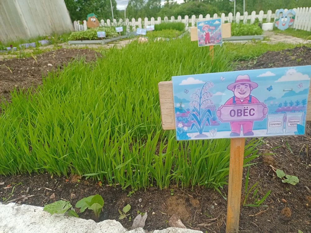 🌧 Дождливый понедельник, а повод для гордости есть!