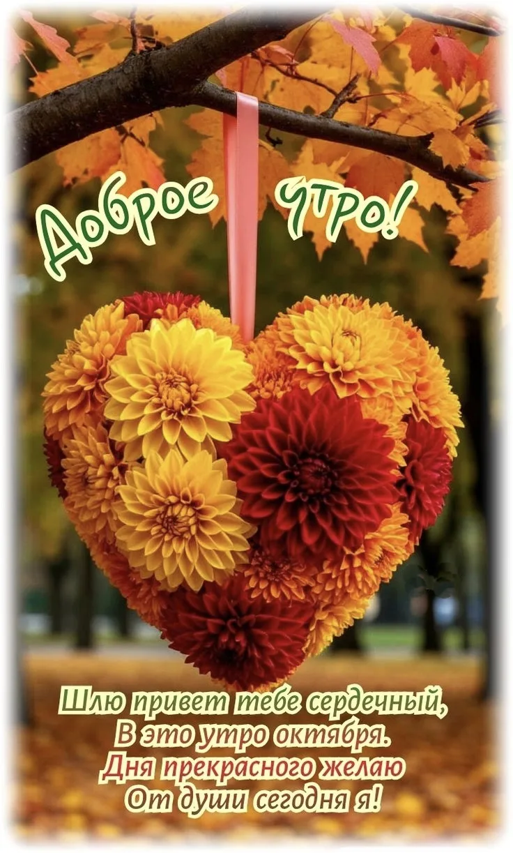 #доброеутро💌