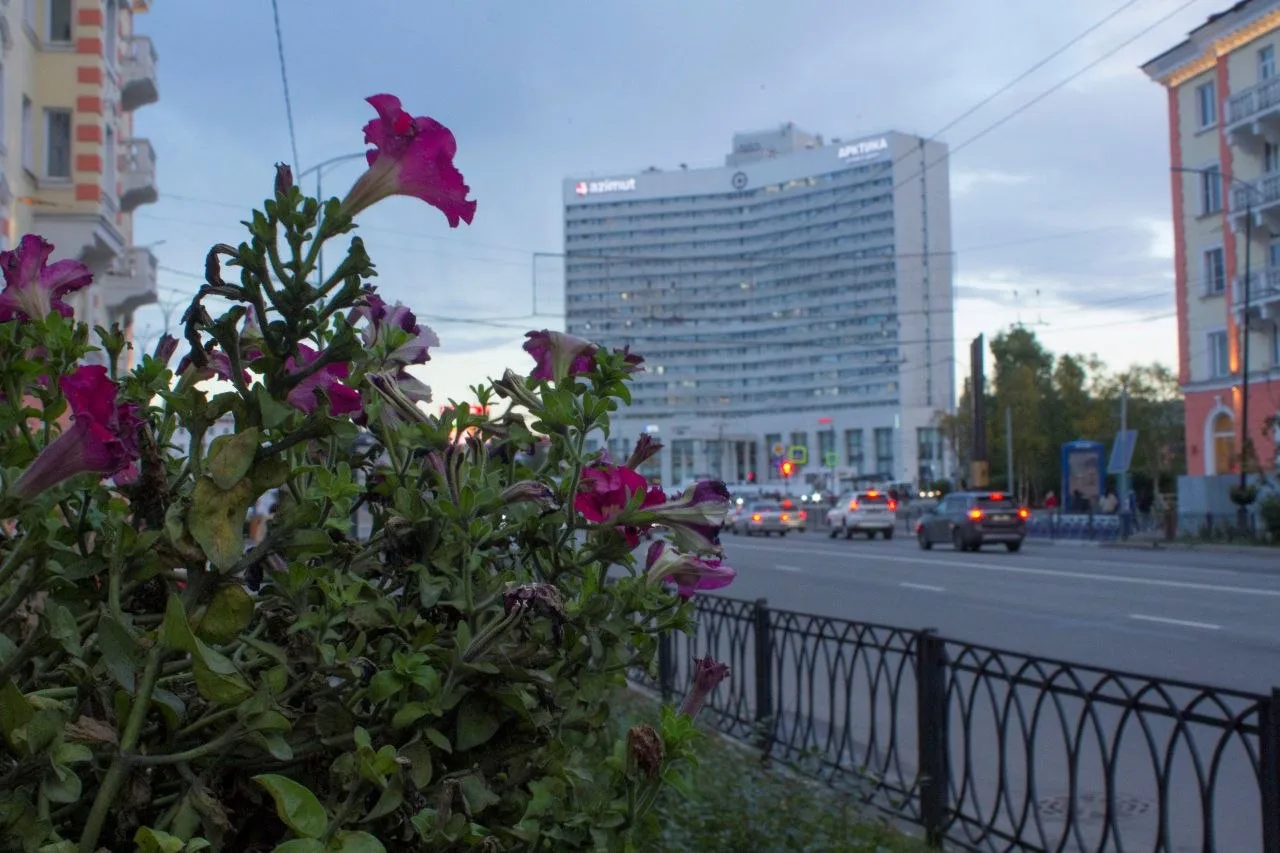 Идем на рекорд К 110-летию Мурманска в городе планируют высадить 175480 растений. Работы пройдут на 