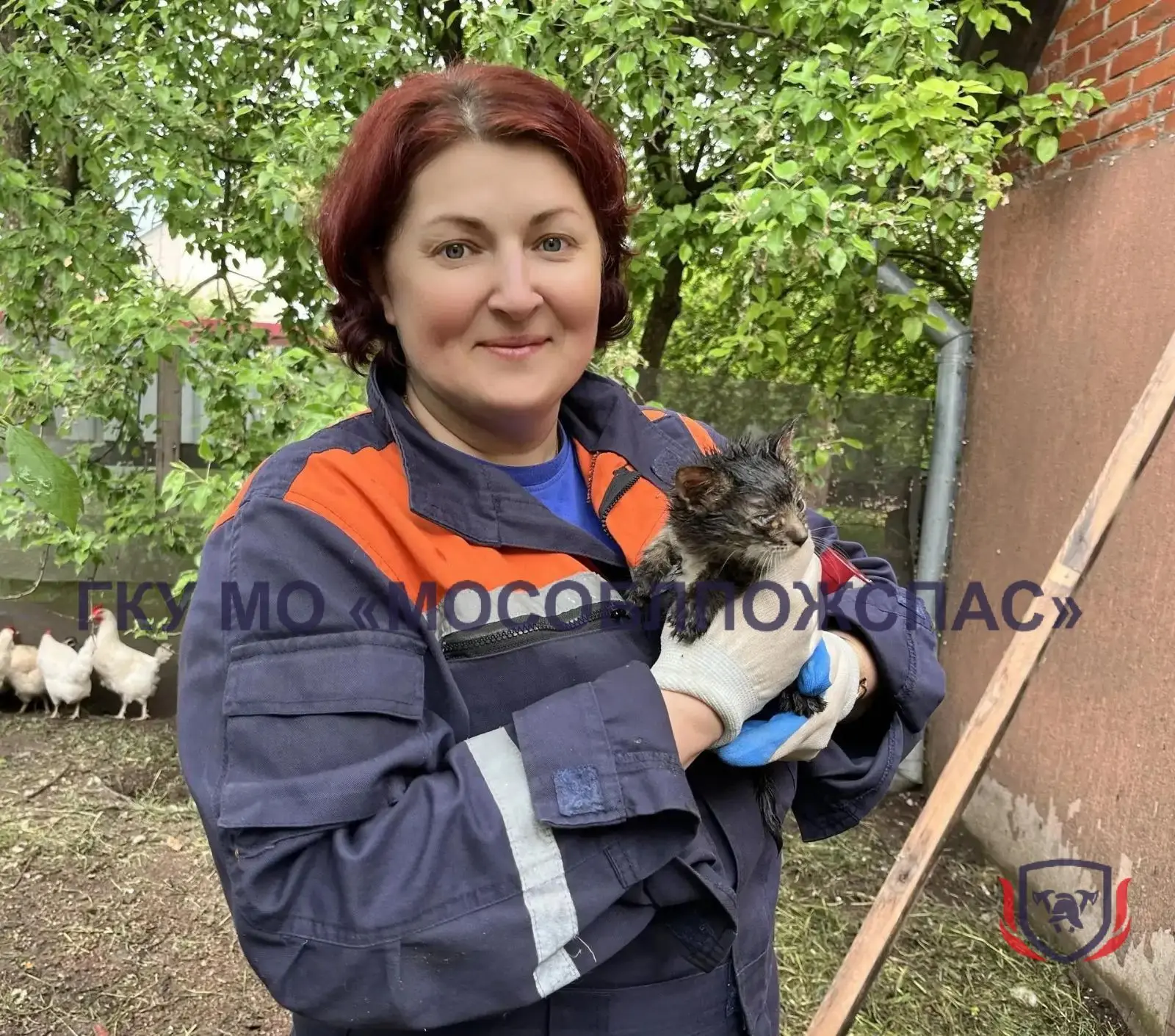🎵 "Мяукающий столб": спасатели выручили из беды котёнка ⬇️  🔍 Любопытство усатого-полосатого исследо