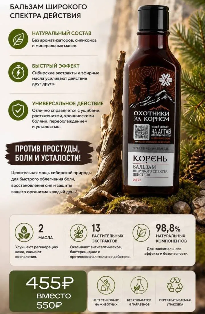 🌿 КОРЕНЬ