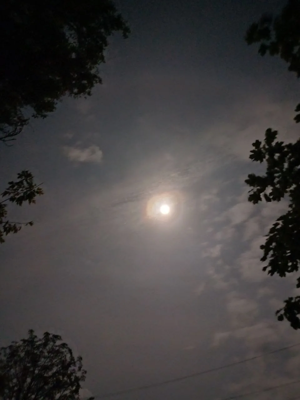 🌙 Луна в ночи...