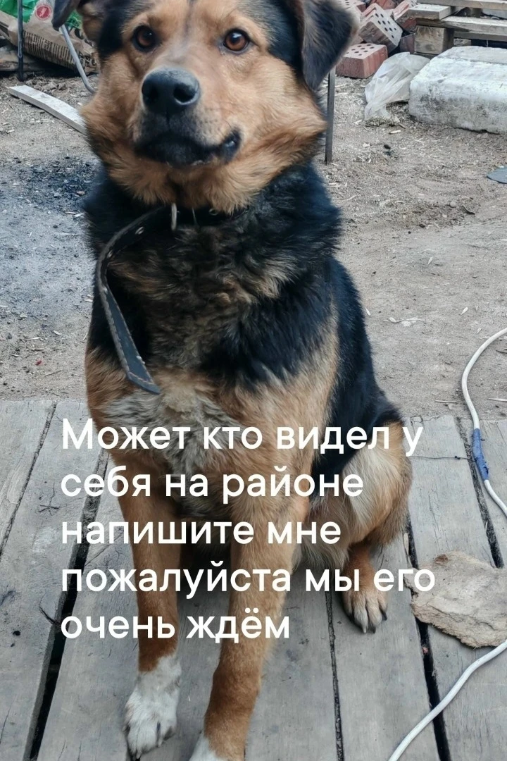 Объявления Башкирии