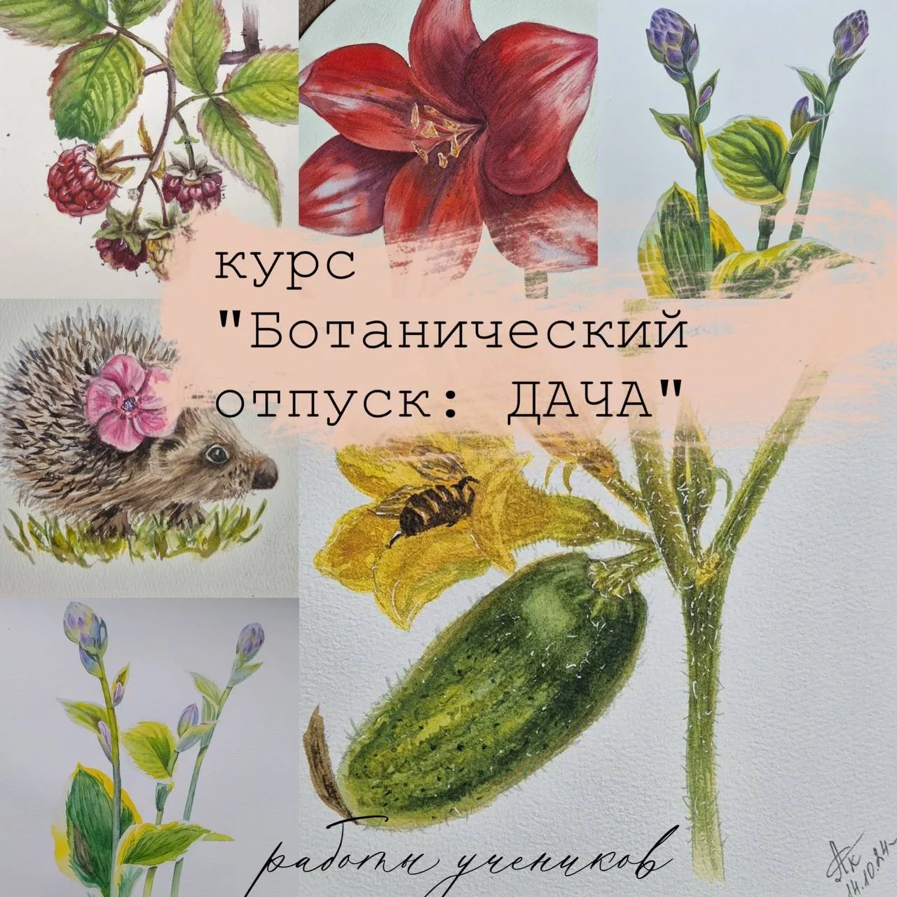 🌴🦔 МОРЕ или ДАЧА: на чьей стороне вы?