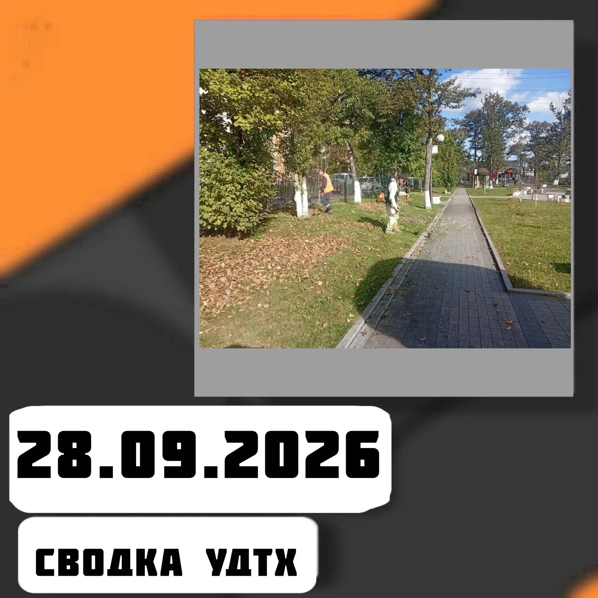 ➡️Сводка УДТХ на 28.09.2026
