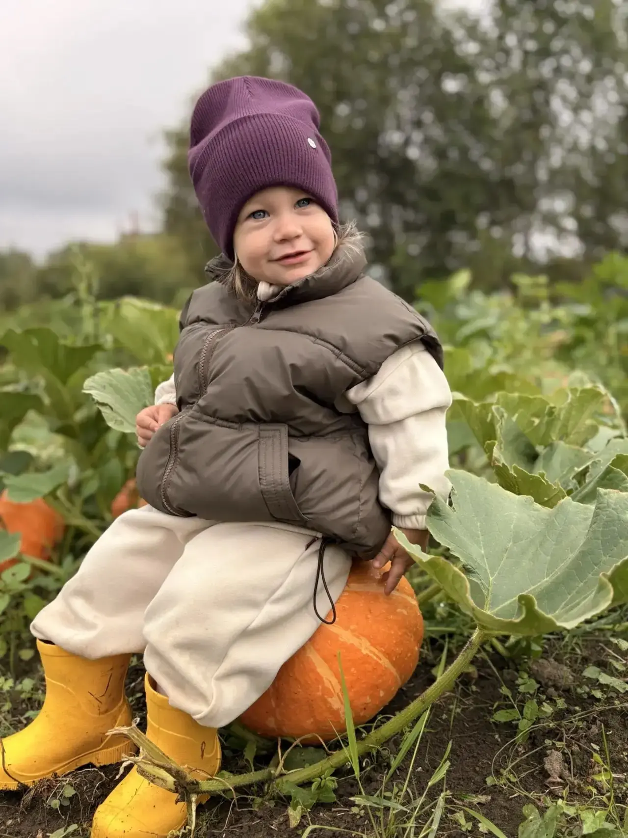 Главное — не проспать момент, когда тыква превратится в карету 🎃