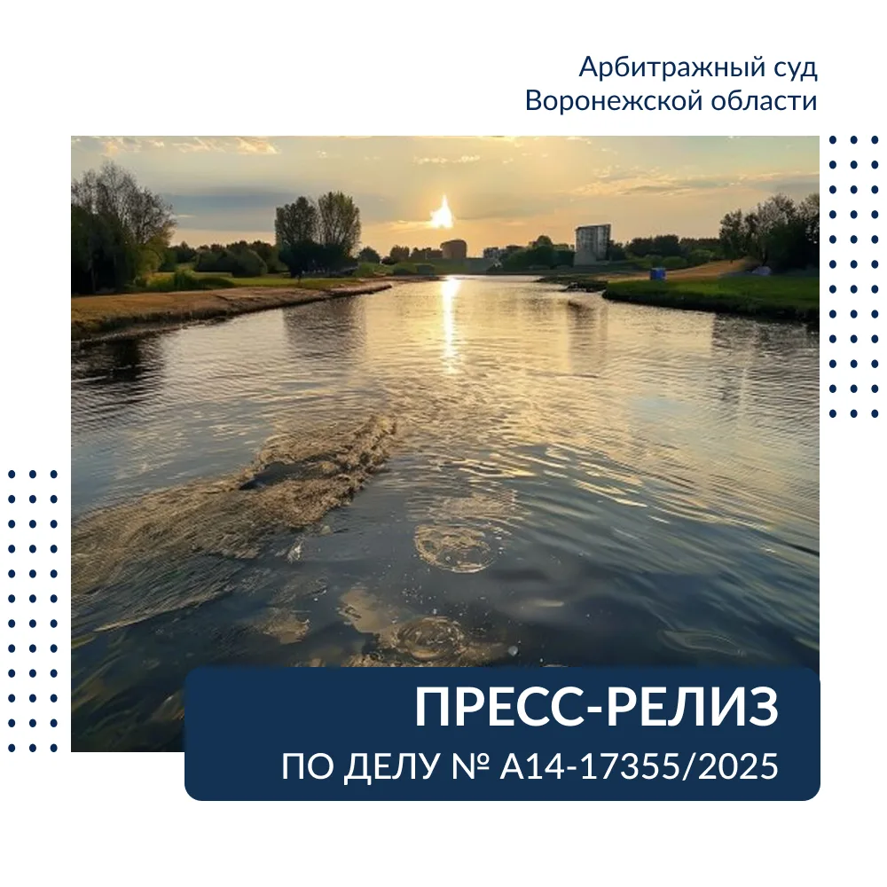 Арбитражный суд Воронежской области признал законным представление Заместителя Воронежского транспор
