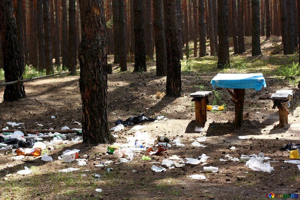 Лесная зона близ населённых пунктов часто бывает превращена в огромную свалку. Здесь не...