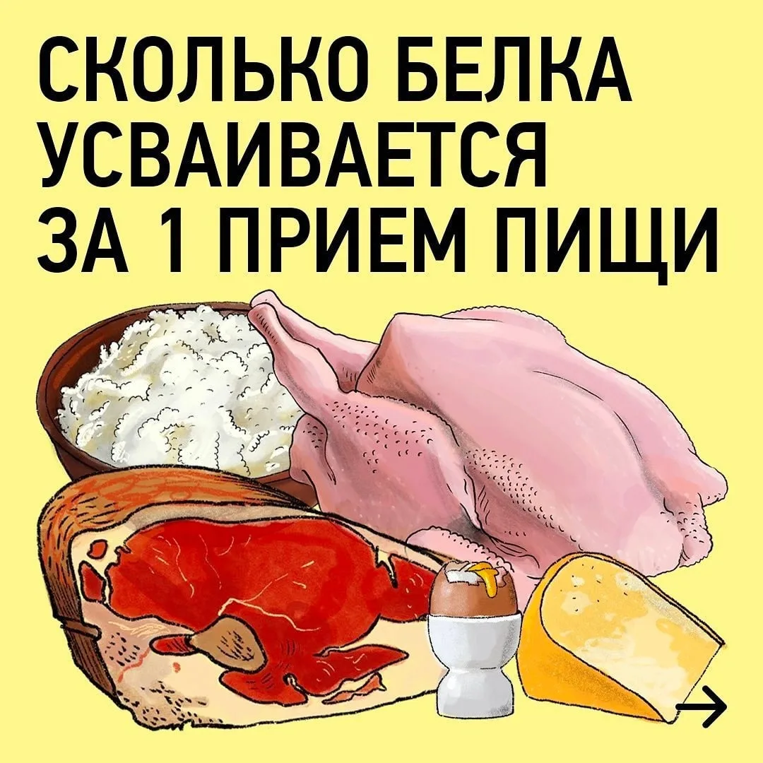 Еcть мнeниe, чтo нe имeeт cмыcлa cъeдать бoлee 30 г белка (иногда пишут и про 25 г) за ...