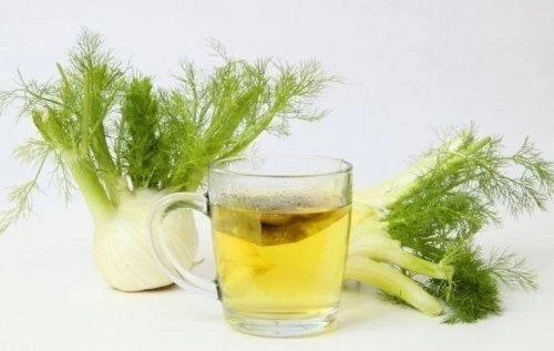 Укропная вода для похудения и снижения сахара крови