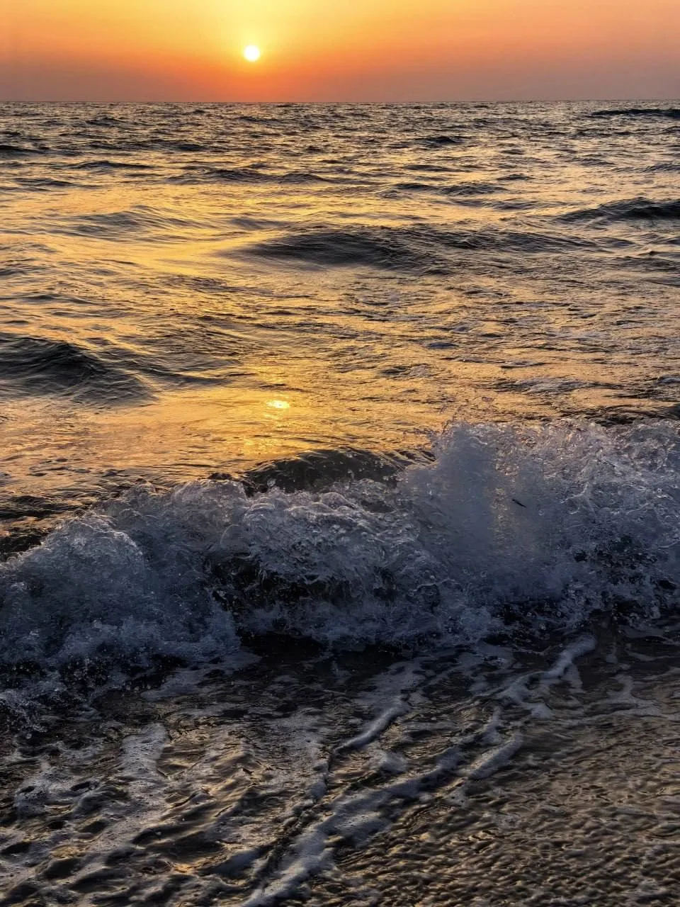 Ласковый крымский берег 🌊

Автор: Аня Дюгаева