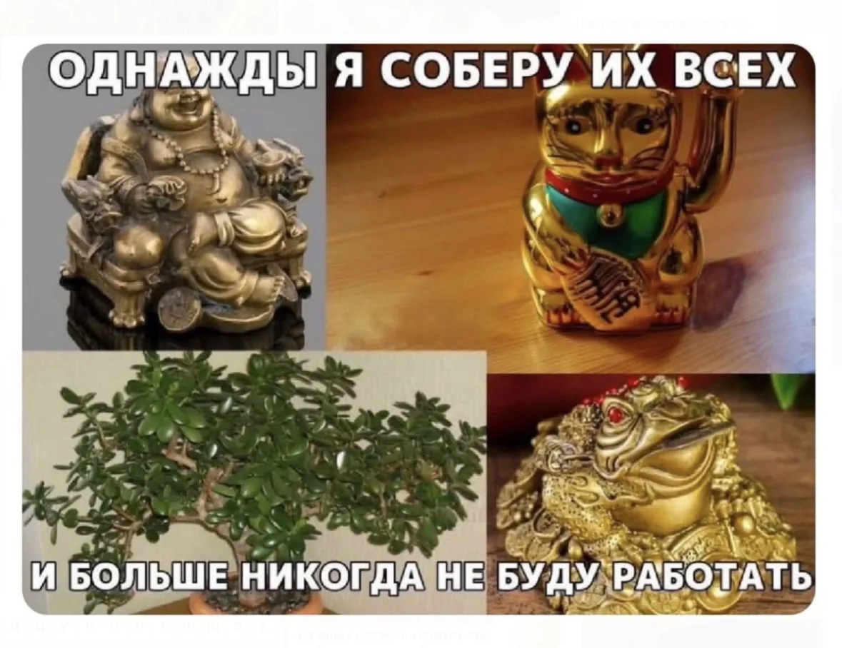 Я давно все вот эти денежные штуки собираю. У меня уже третье денежное дерево растет. П...