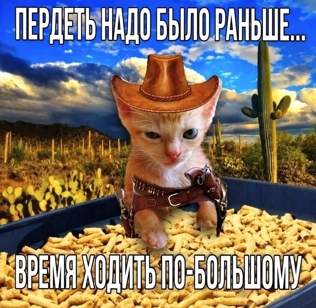 Мемы каждый день • Подписаться