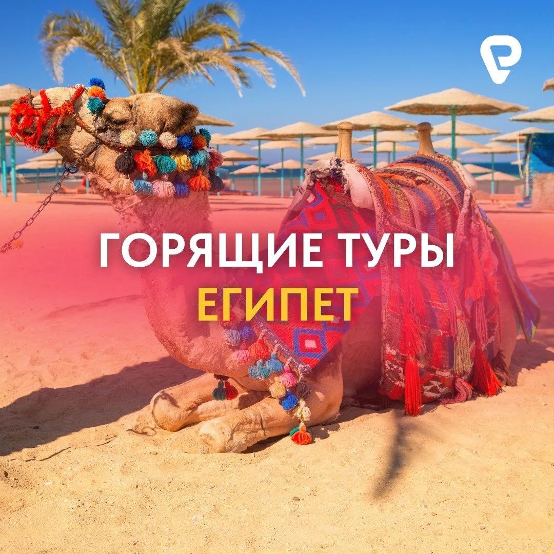 Египет в июне — всё включено от 64 тысяч 🔥