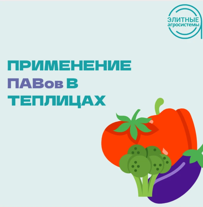 Сегодня снова о теплицах 🍅