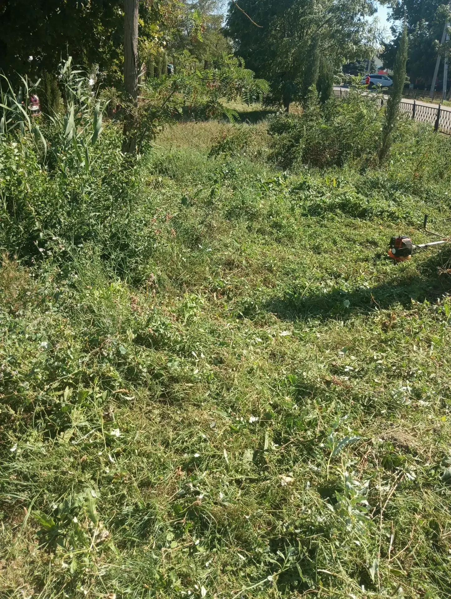 Покос сорной растительности в поселке Прогресс на улице Гагарина.
