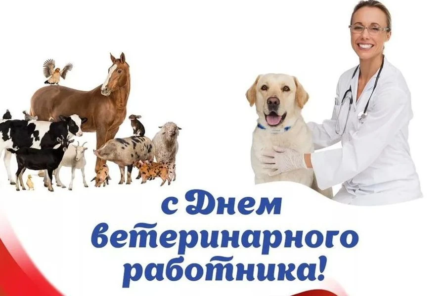 Уважаемые работники и ветераны ветеринарной службы!