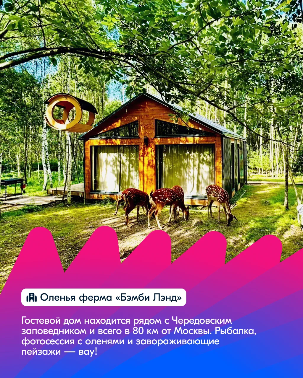 Майские дома — базовый минимум. Майские за городом — роскошный максимум 🤩  🔥 Рассказали про 5 отелей
